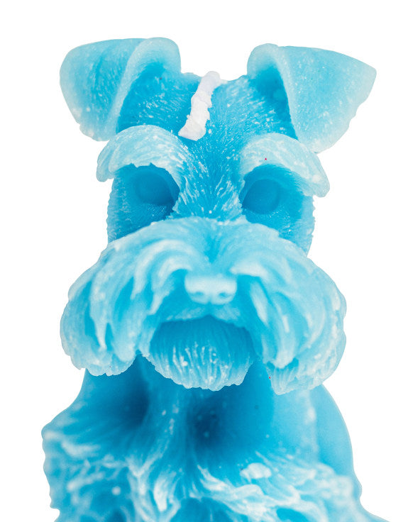 Light Blue Minature Schnauzer Candle