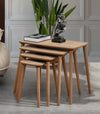 VH Luci nesting coffee table set - Oak - view 2