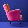Hummingbird embroidered statement armchair in a room setting - Sohowells