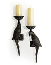 Pair of Large Distressed Black Metal Parrot Wall Sconces