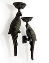 Pair of Large Distressed Black Metal Parrot Wall Sconces
