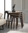 VH Luci nesting coffee table set - Walnut - view 3